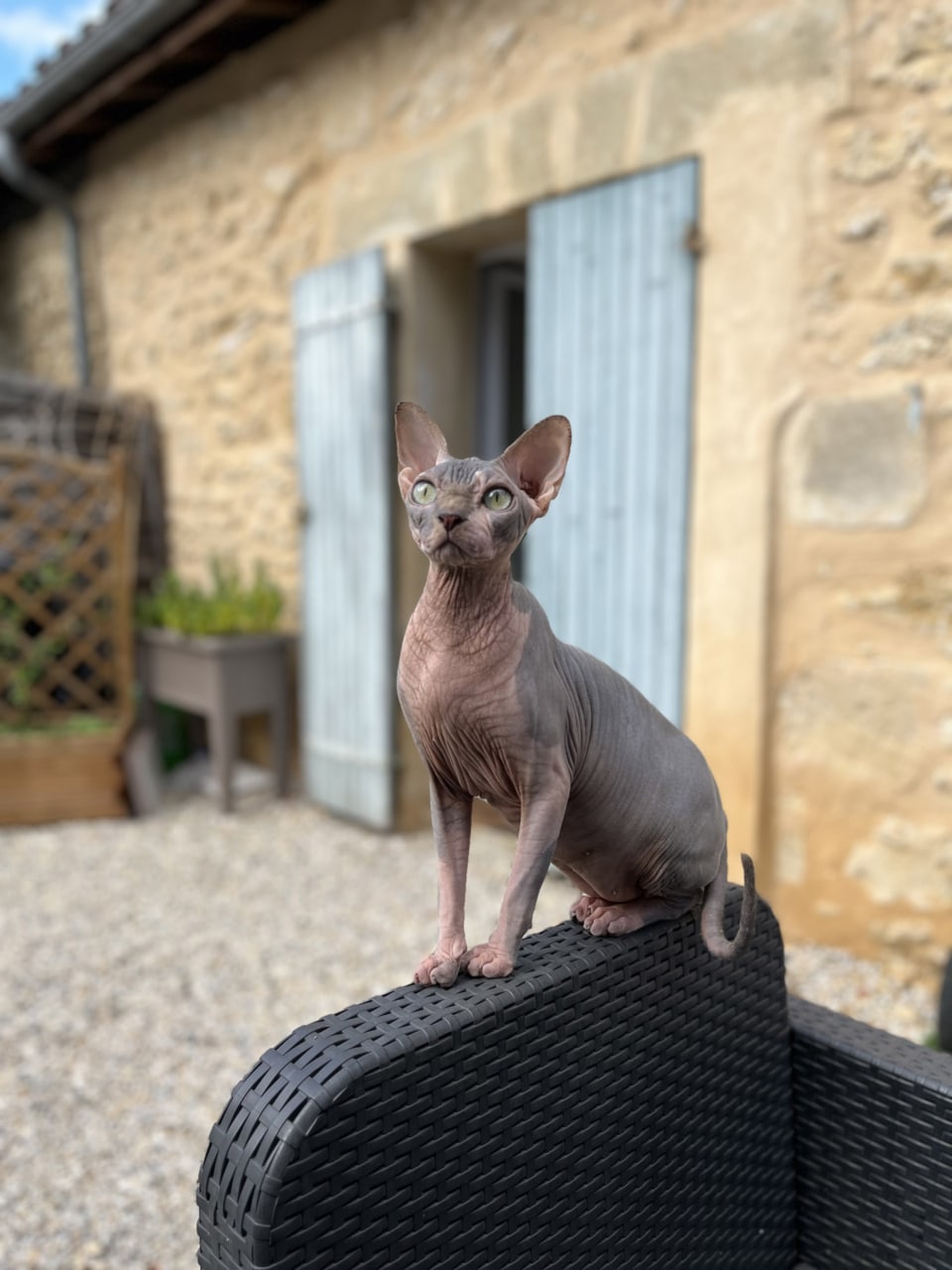 100pour100efc centre formation animalier landes pays basque 3