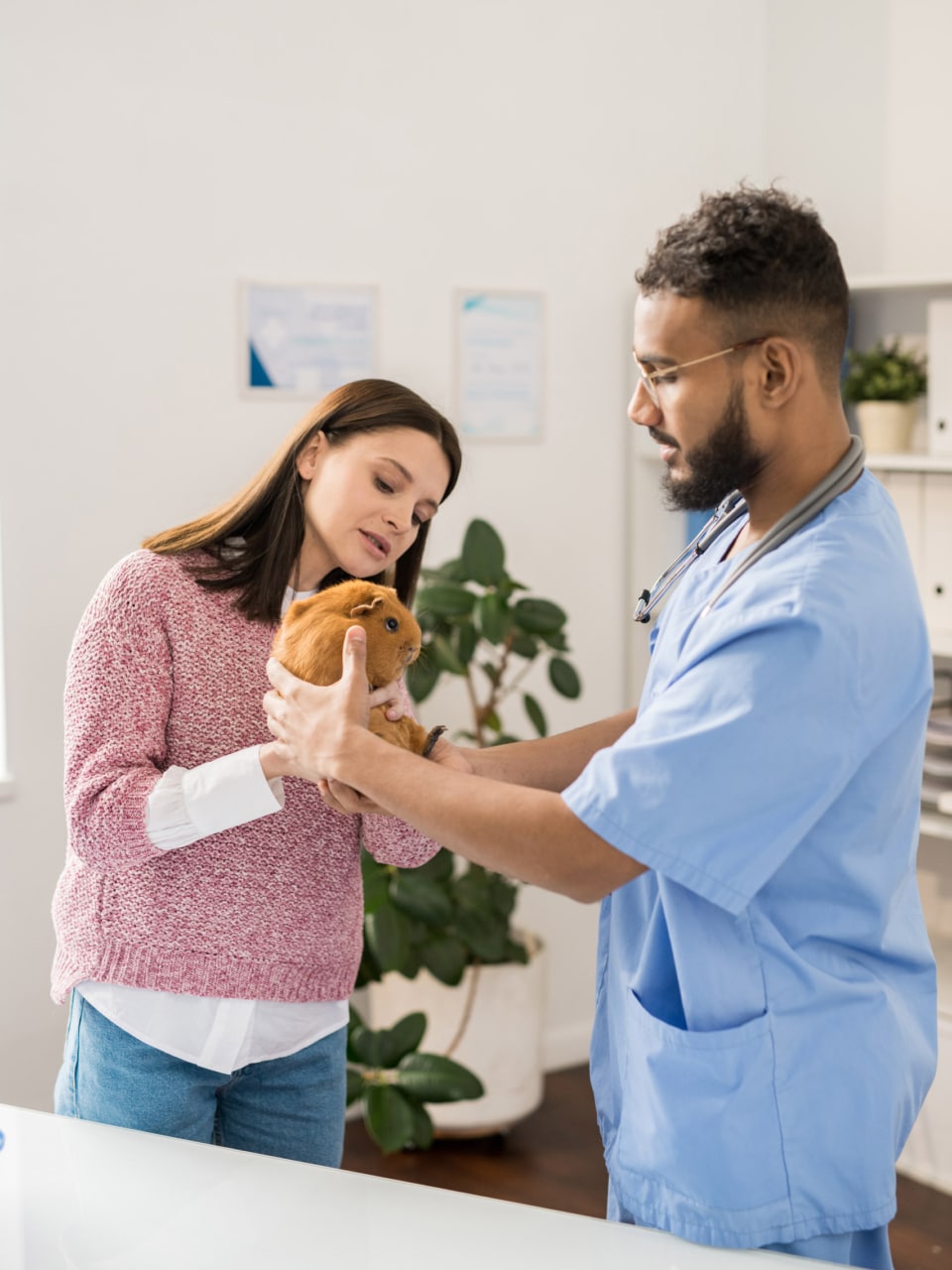 100pour100efc centre formation animalier landes pays basque 6